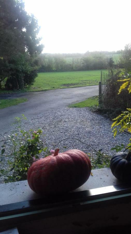 La Colline Des Roses Bed & Breakfast Conchil-le-Temple Luaran gambar